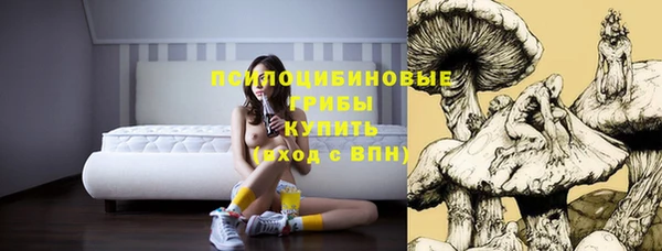 мяу мяу мука Алексеевка
