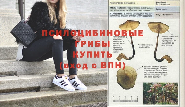 ALPHA PVP Алексин