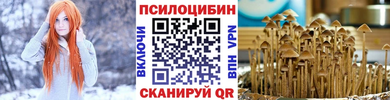 kraken ссылки  Ивдель  Галлюциногенные грибы GOLDEN TEACHER 